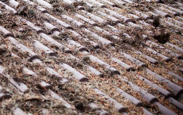 Pendrift roof cleaning companies